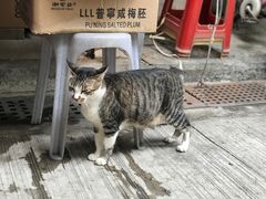 -大澳渔村及棚屋
