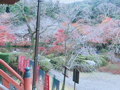 -醍醐寺