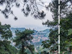 -南山植物园