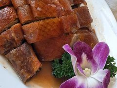 -广州塔晖粤轩中餐厅