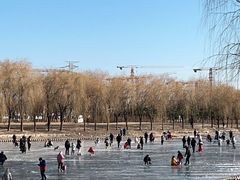 -东坝千亩湖公园