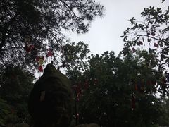 -壹华里·市集