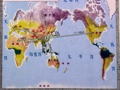 -中国农业博物馆