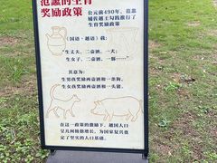 -陶祖圣境风景区