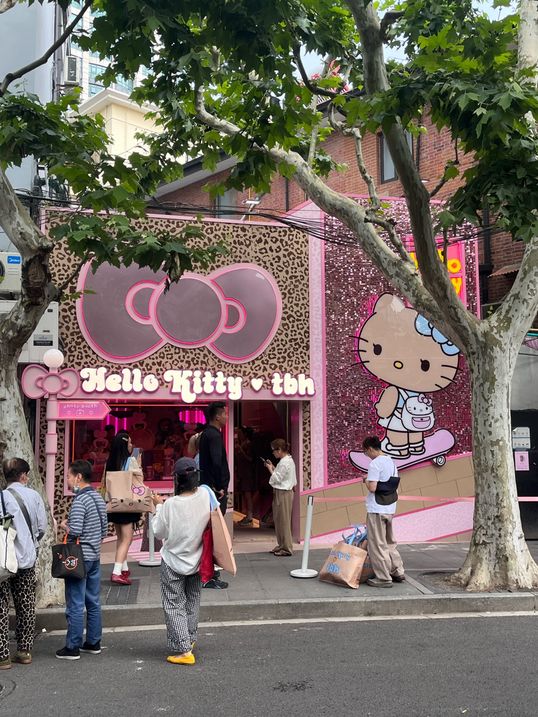 黑皮kitty快闪、一眼望不到头的队伍
