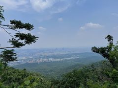 -紫金山山顶公园