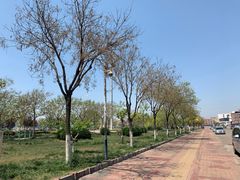 -渔家小院观海海肠捞饭地方菜(环海中路店)