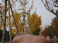 -云锦路(地铁站)