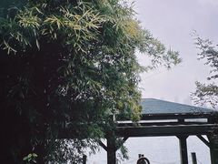 -白塘生态植物园