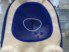 -爱洗澡的猫(望京店)