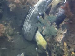 -多彩贵州城极地海洋世界