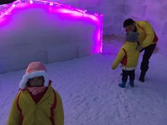-世界之窗阿尔卑斯冰雪世界