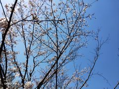 -新天地活力PARK