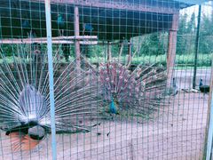 -韶关经律论国际酒店温泉