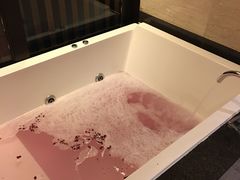 -三亚亚龙湾雅高铂尔曼别墅度假酒店