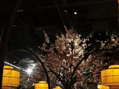 -绿茶餐厅(昌平悦荟店)