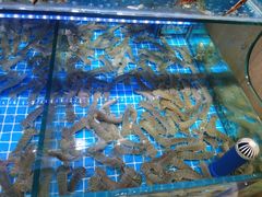 -前王院•巧克力海鲜市集餐厅(万平口店)