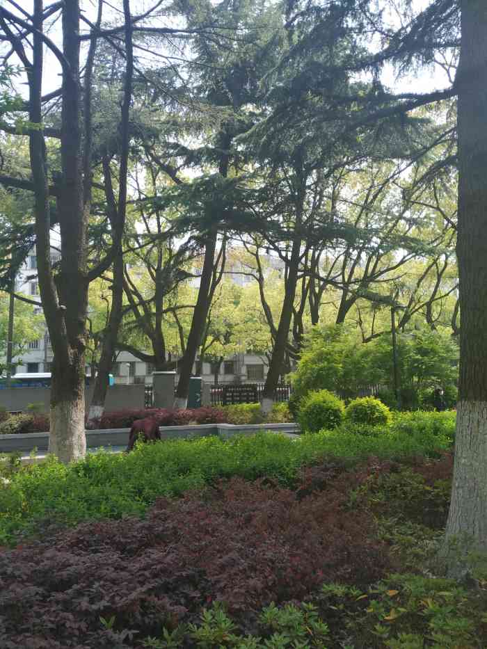 三香公园-"一般的公园,适合附近居民溜达."-大众点评移动版