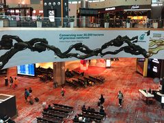 -吉隆坡国际机场