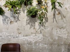 -怪 kafe.