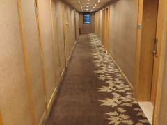 -长沙小天鹅戴斯酒店