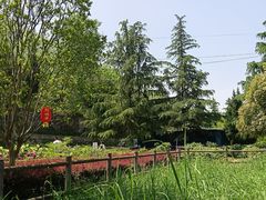 -盛世牡丹苑生态文化旅游区
