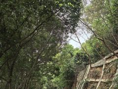 -小南山公园