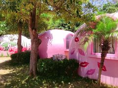 -漳州滨海火山岛自然生态风景区