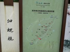 -羚羊峡古栈道森林公园