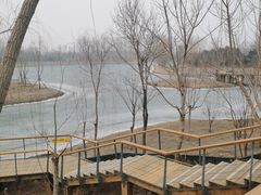 -东郊湿地公园
