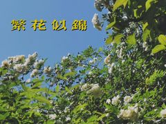 -耦园