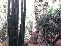-马洛雷勒花园