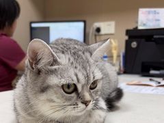 -瑞鹏宠物医院·超声·骨科·奇麟分院(蜀都万达店)