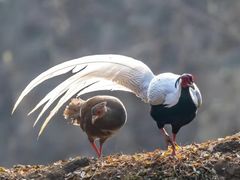 -沕沕水生态风景区