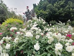 -人民公园(罗湖区)