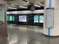 -大望路(地铁站)