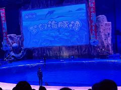 -华夏文旅海洋公园