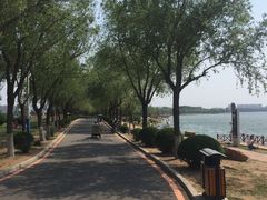 -丁香湖公园