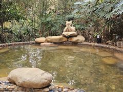 -天目湖涵田半山温泉