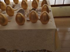 -汤泉良子(金源店)