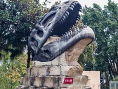 -自贡恐龙博物馆