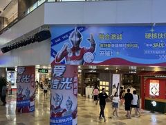 -鹏欣水游城