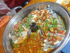 -杨裕兴(岳麓山店)