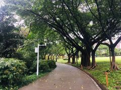 -广州雕塑公园