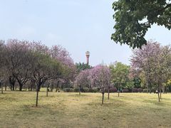 -雀儿山公园