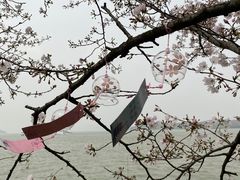 -无锡日航饭店