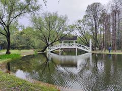 -上海共青森林公园