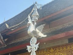-西双版纳傣族园
