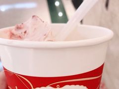 双色球哈根达斯-哈根达斯(天河城店)