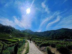 -西湖风景区十里琅珰-五云山